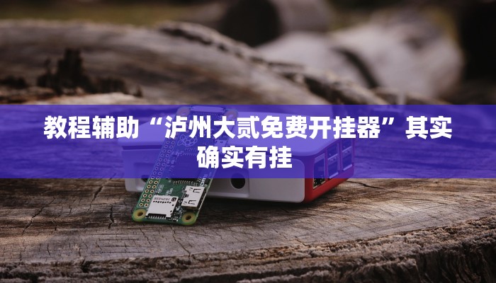 教程辅助“泸州大贰免费开挂器”其实确实有挂 