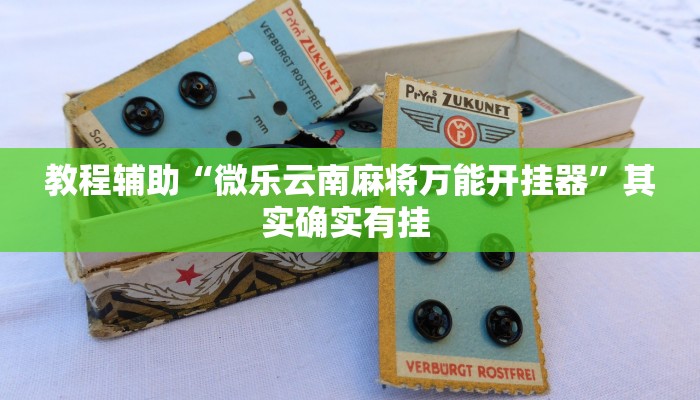 教程辅助“微乐云南麻将万能开挂器”其实确实有挂 