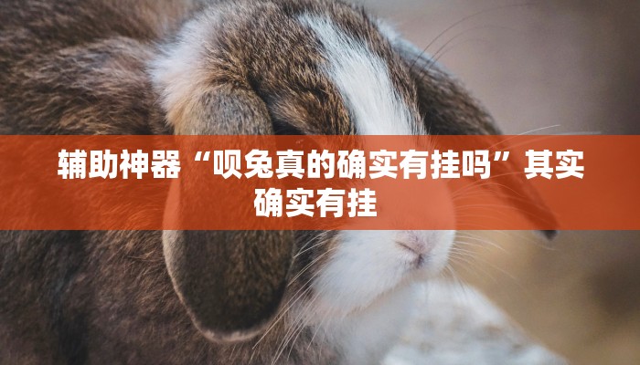 辅助神器“呗兔真的确实有挂吗”其实确实有挂 