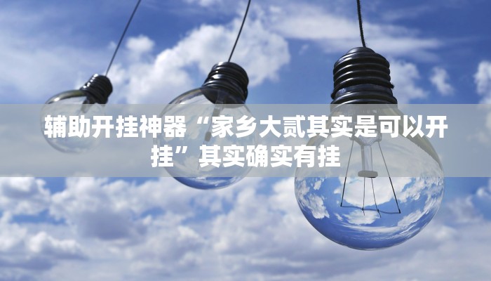 辅助开挂神器“家乡大贰其实是可以开挂”其实确实有挂