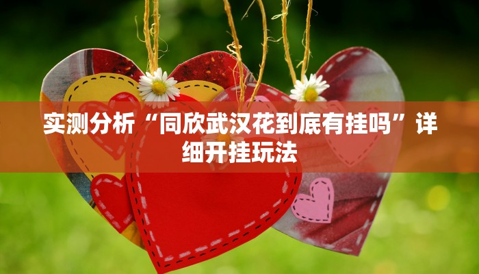 实测分析“同欣武汉花到底有挂吗”详细开挂玩法