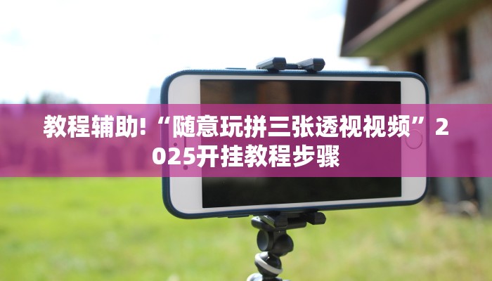 教程辅助!“随意玩拼三张透视视频”2025开挂教程步骤