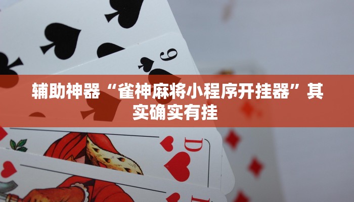 辅助神器“雀神麻将小程序开挂器”其实确实有挂 