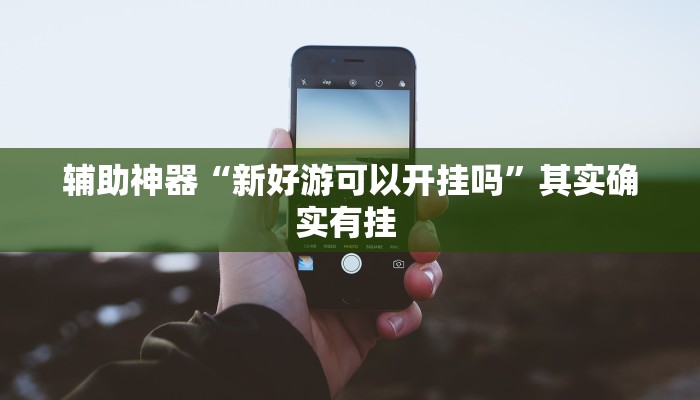 辅助神器“新好游可以开挂吗”其实确实有挂 