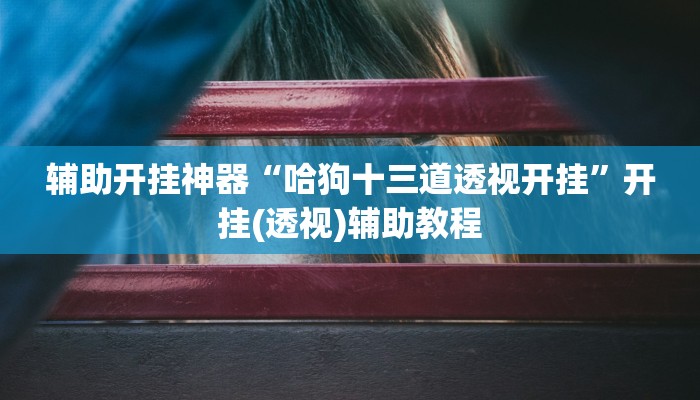 辅助开挂神器“哈狗十三道透视开挂”开挂(透视)辅助教程