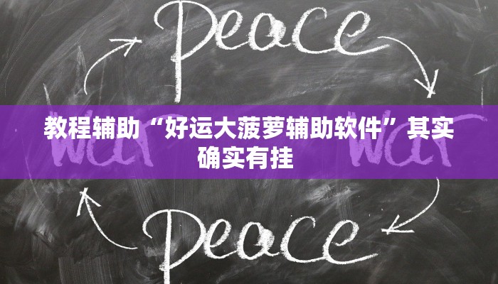 教程辅助“好运大菠萝辅助软件”其实确实有挂 