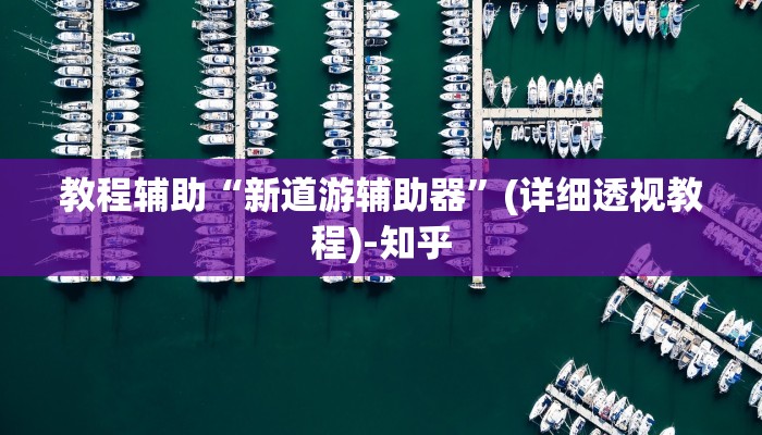 教程辅助“新道游辅助器”(详细透视教程)-知乎