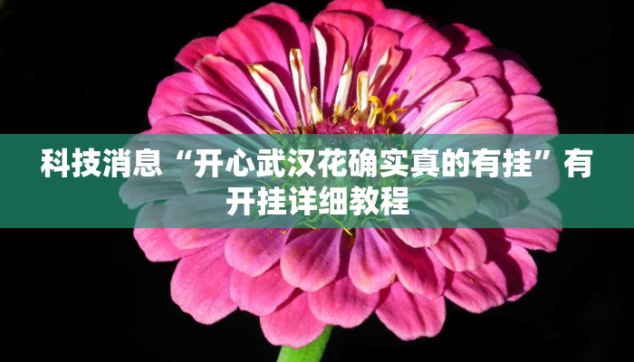 科技消息“开心武汉花确实真的有挂”有开挂详细教程