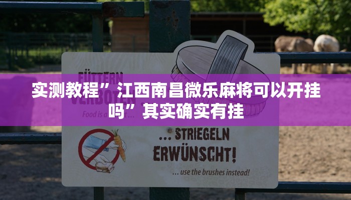 实测教程”江西南昌微乐麻将可以开挂吗”其实确实有挂
