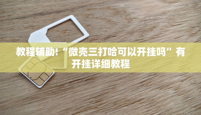 教程辅助!“微壳三打哈可以开挂吗”有开挂详细教程