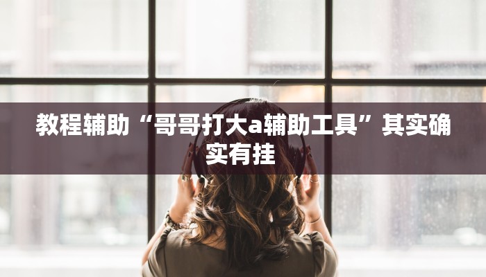 教程辅助“哥哥打大a辅助工具”其实确实有挂 