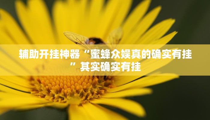 辅助开挂神器“蜜蜂众娱真的确实有挂”其实确实有挂