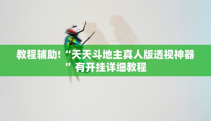 教程辅助!“天天斗地主真人版透视神器”有开挂详细教程