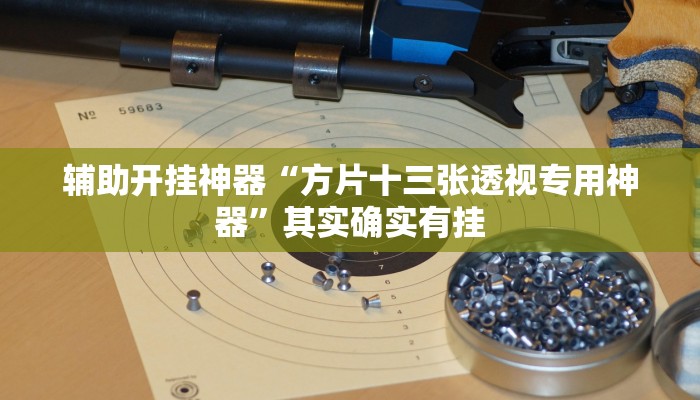 辅助开挂神器“方片十三张透视专用神器”其实确实有挂