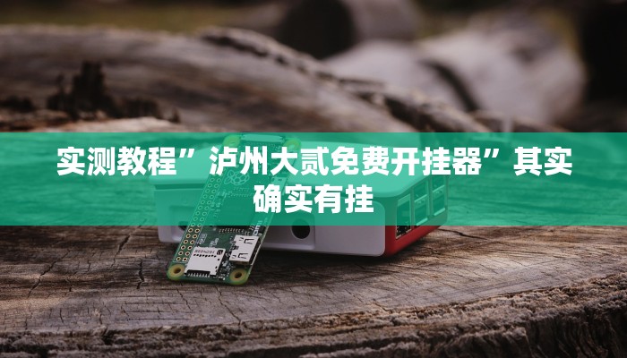 实测教程”泸州大贰免费开挂器”其实确实有挂