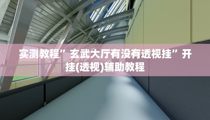 实测教程”玄武大厅有没有透视挂”开挂(透视)辅助教程