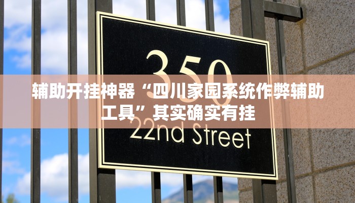 辅助开挂神器“四川家园系统作弊辅助工具”其实确实有挂