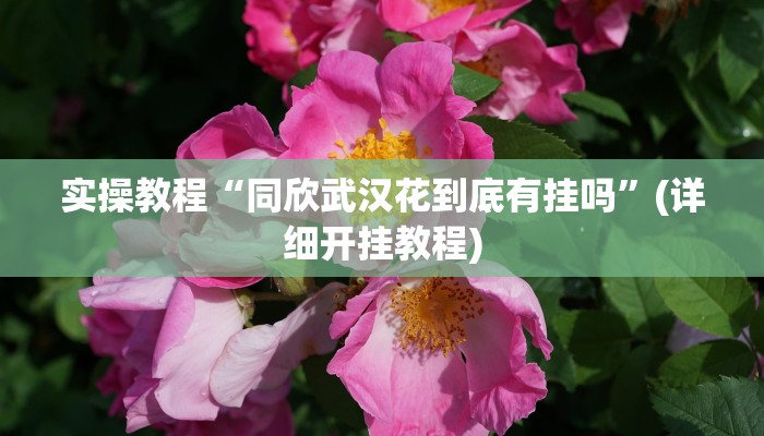 实操教程“同欣武汉花到底有挂吗”(详细开挂教程)