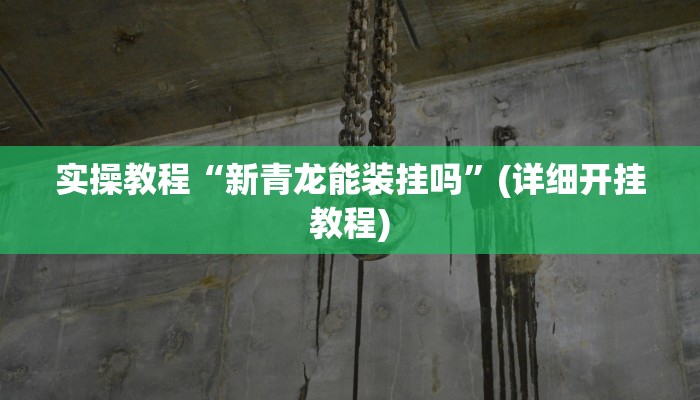 实操教程“新青龙能装挂吗”(详细开挂教程)
