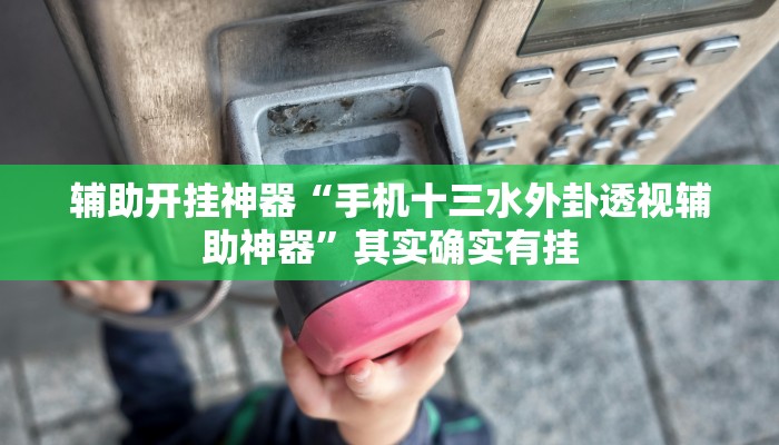 辅助开挂神器“手机十三水外卦透视辅助神器”其实确实有挂