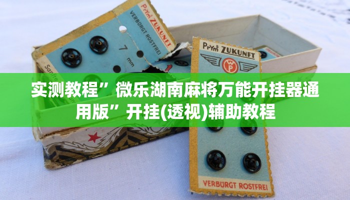 实测教程”微乐湖南麻将万能开挂器通用版”开挂(透视)辅助教程