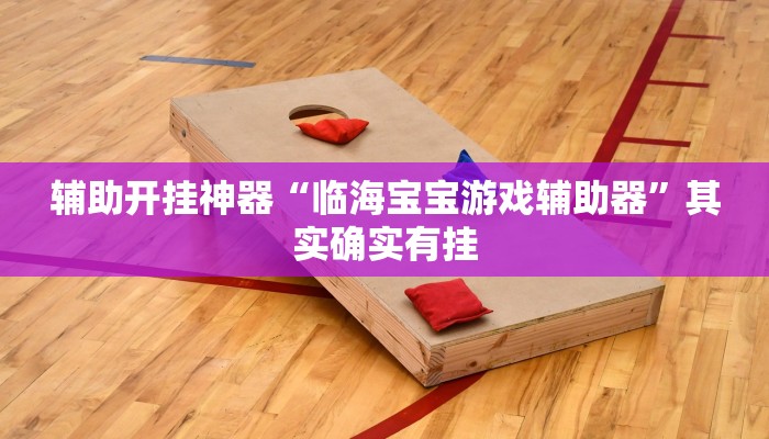 辅助开挂神器“临海宝宝游戏辅助器”其实确实有挂
