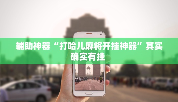 辅助神器“打哈儿麻将开挂神器”其实确实有挂 