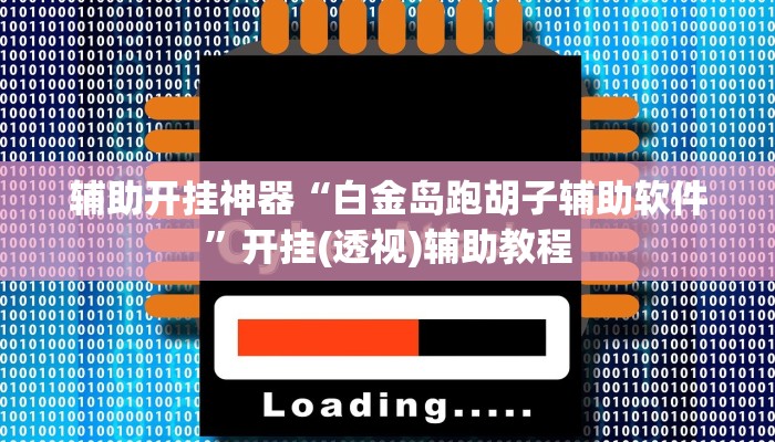 辅助开挂神器“白金岛跑胡子辅助软件”开挂(透视)辅助教程