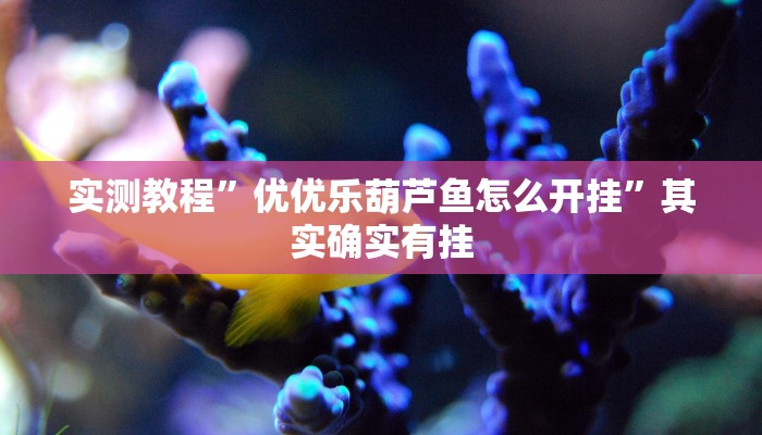 实测教程”优优乐葫芦鱼怎么开挂”其实确实有挂