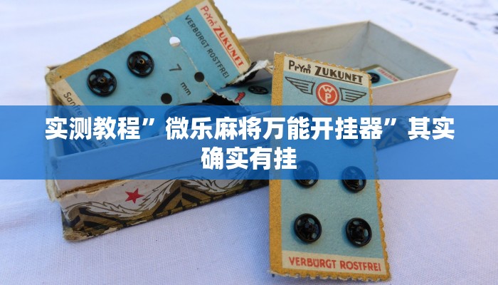 实测教程”微乐麻将万能开挂器”其实确实有挂 实测教程”微乐麻将万能开挂器”其实确实有挂