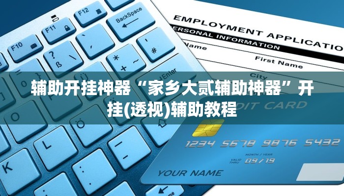 辅助开挂神器“家乡大贰辅助神器”开挂(透视)辅助教程