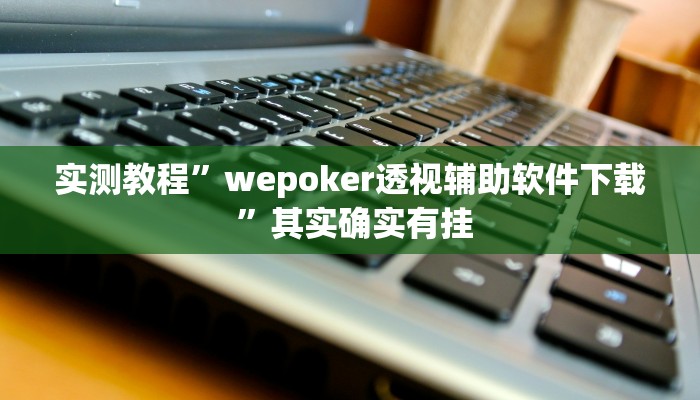 实测教程”wepoker透视辅助软件下载 ”其实确实有挂