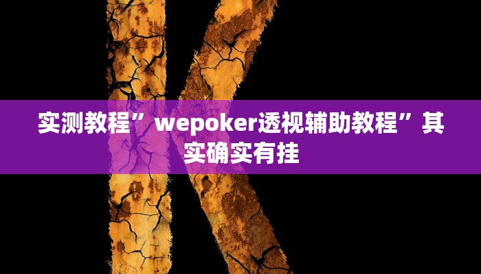 实测教程”wepoker透视辅助教程”其实确实有挂