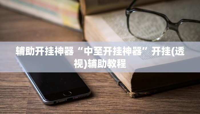 辅助开挂神器“中至开挂神器”开挂(透视)辅助教程