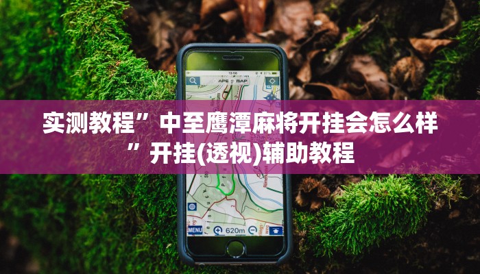 实测教程”中至鹰潭麻将开挂会怎么样”开挂(透视)辅助教程 实测教程”中至鹰潭麻将开挂会怎么样”开挂(透视)辅助教程