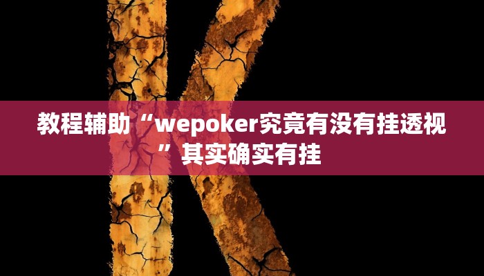 教程辅助“wepoker究竟有没有挂透视”其实确实有挂 
