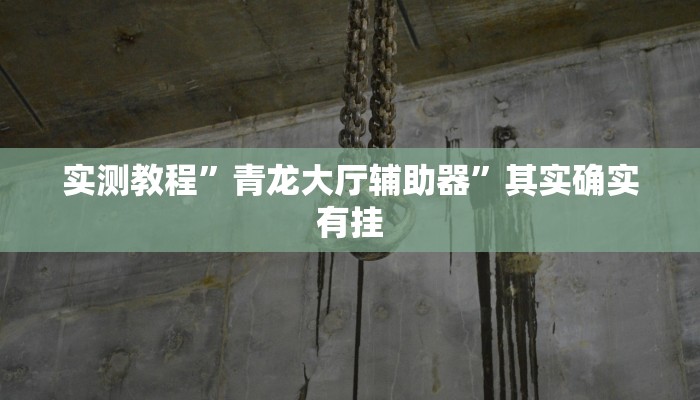 实测教程”青龙大厅辅助器”其实确实有挂 实测教程”青龙大厅辅助器”其实确实有挂