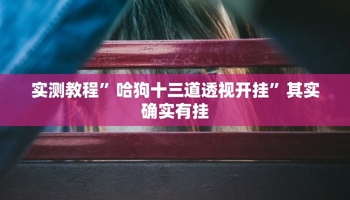 实测教程”哈狗十三道透视开挂”其实确实有挂