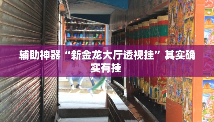 辅助神器“新金龙大厅透视挂”其实确实有挂 