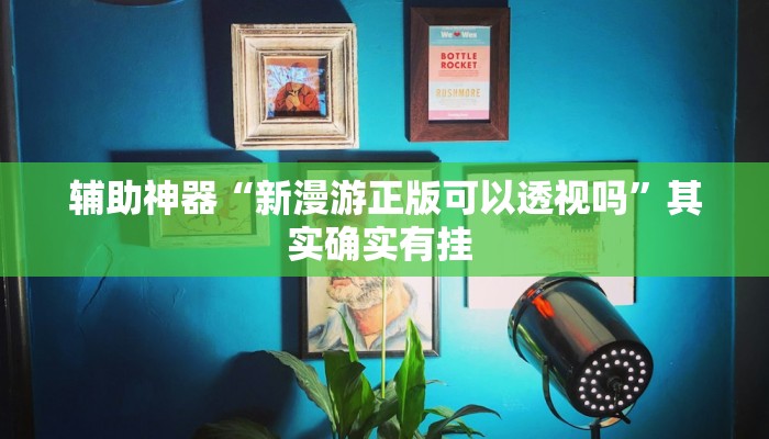 辅助神器“新漫游正版可以透视吗”其实确实有挂 