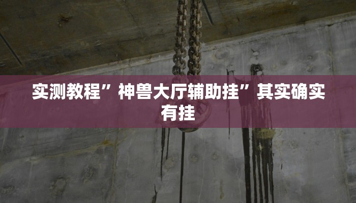 实测教程”神兽大厅辅助挂”其实确实有挂