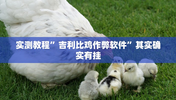 实测教程”吉利比鸡作弊软件”其实确实有挂