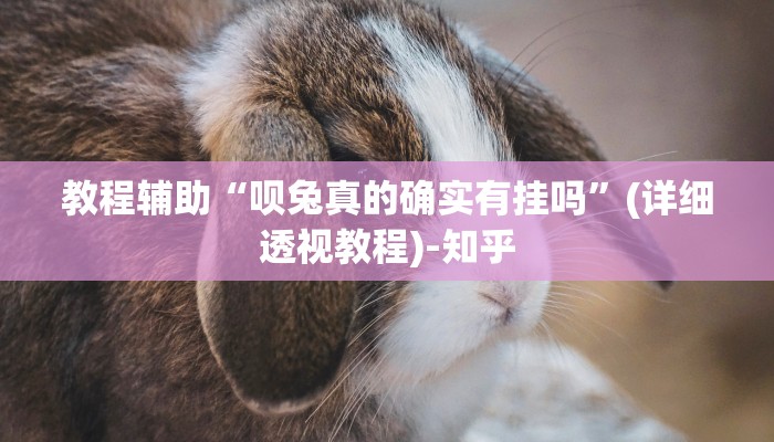 教程辅助“呗兔真的确实有挂吗”(详细透视教程)-知乎