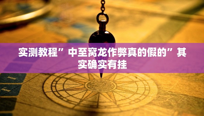 实测教程”中至窝龙作弊真的假的”其实确实有挂