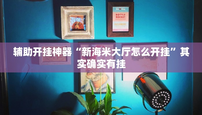 辅助开挂神器“新海米大厅怎么开挂”其实确实有挂