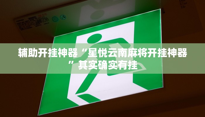 辅助开挂神器“星悦云南麻将开挂神器”其实确实有挂 辅助开挂神器“星悦云南麻将开挂神器”其实确实有挂