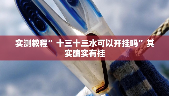 实测教程”十三十三水可以开挂吗”其实确实有挂