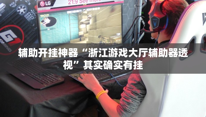 辅助开挂神器“浙江游戏大厅辅助器透视”其实确实有挂