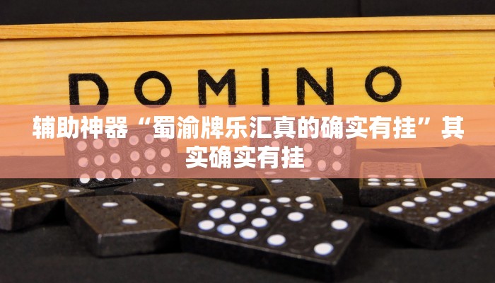 辅助神器“蜀渝牌乐汇真的确实有挂”其实确实有挂 