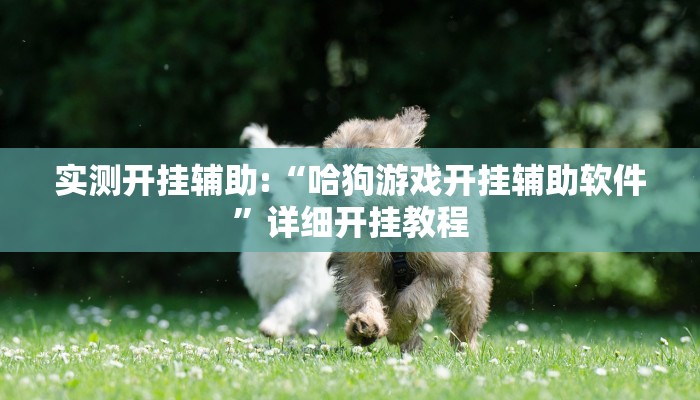 实测开挂辅助:“哈狗游戏开挂辅助软件”详细开挂教程